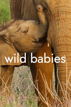 Wild Babies Wild Babies