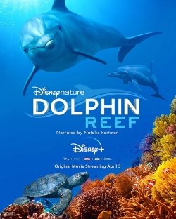 Dolphin Reef Dolphin Reef
