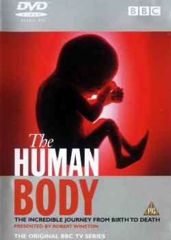 The Human Body The Human Body