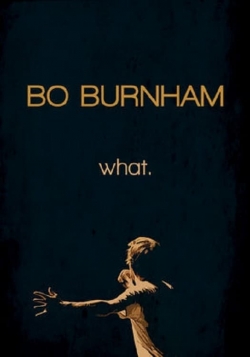 Bo Burnham: What. Bo Burnham: What.