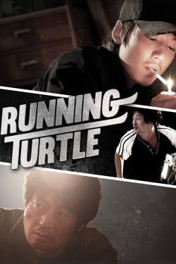 Running Turtle Running Turtle