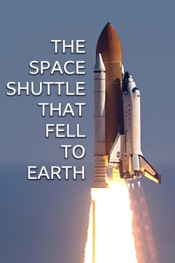 The Space Shuttle That Fell to Earth The Space Shuttle That Fell to Earth