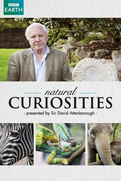 David Attenborough's Natural Curiosities David Attenborough's Natural Curiosities