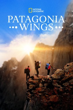 Patagonia Wings Patagonia Wings