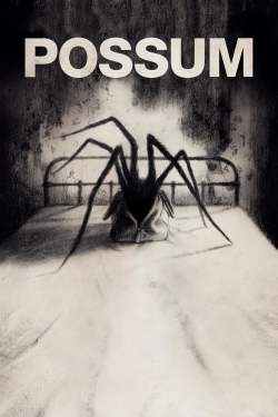 Possum Possum
