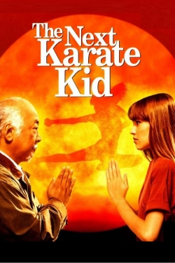 The Next Karate Kid The Next Karate Kid