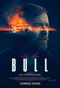 Bull Bull