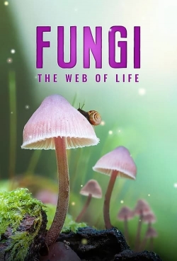 Fungi: The Web of Life Fungi: The Web of Life