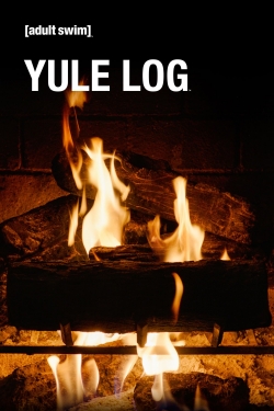 Adult Swim Yule Log Adult Swim Yule Log