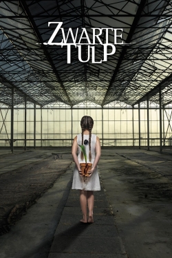 Black Tulip Black Tulip