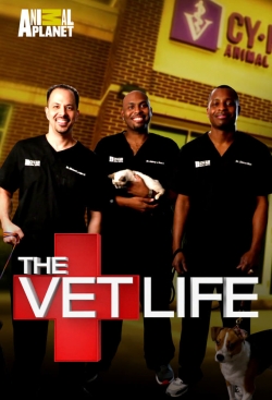 The Vet Life The Vet Life