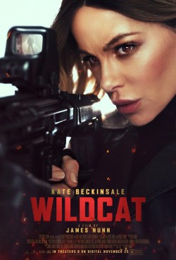 Wildcat Wildcat