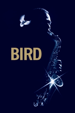 Bird Bird