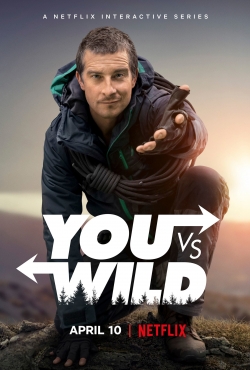 You vs. Wild You vs. Wild