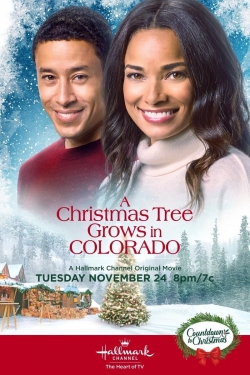 A Christmas Tree Grows in Colorado A Christmas Tree Grows in Colorado
