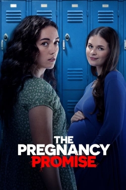 The Pregnancy Promise The Pregnancy Promise