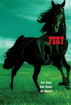 Fury Fury
