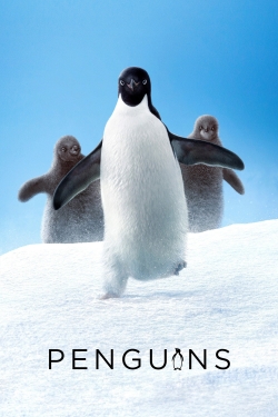 Penguins Penguins