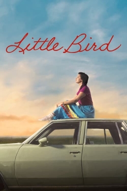 Little Bird Little Bird