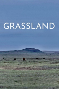 Grassland Grassland