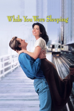 While You Were Sleeping While You Were Sleeping