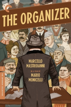 The Organizer The Organizer