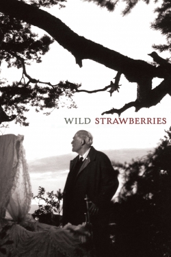 Wild Strawberries Wild Strawberries