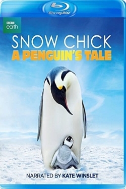 Snow Chick - A Penguin's Tale Snow Chick - A Penguin's Tale