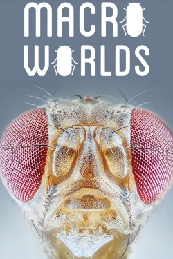 Macro Worlds Macro Worlds