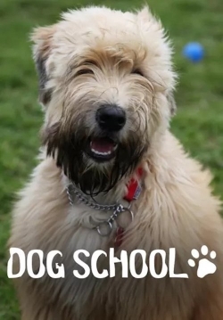 Dog School Dog School