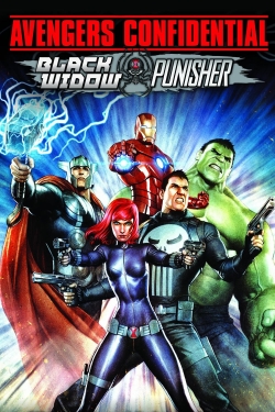 Avengers Confidential: Black Widow & Punisher Avengers Confidential: Black Widow & Punisher