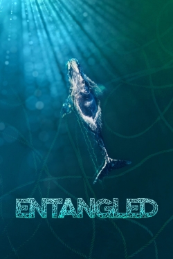 Entangled: The Race to Save Right Whales from Extinction Entangled: The Race to Save Right Whales from Extinction
