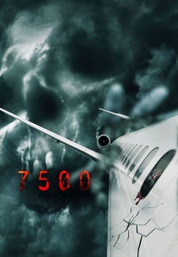 Flight 7500 Flight 7500