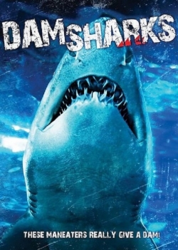 Dam Sharks! Dam Sharks!