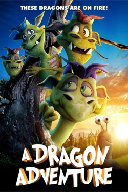 A Dragon Adventure A Dragon Adventure
