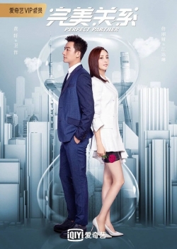 Perfect Partner Perfect Partner