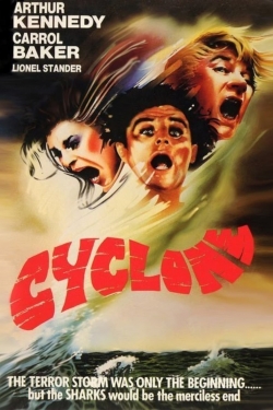 Cyclone Cyclone