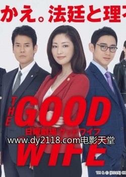The Good Wife The Good Wife
