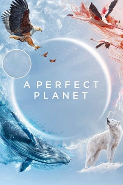 A Perfect Planet A Perfect Planet