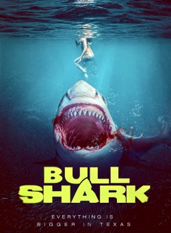 Bull Shark Bull Shark