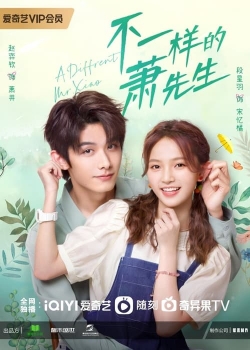 A Different Mr. Xiao A Different Mr. Xiao