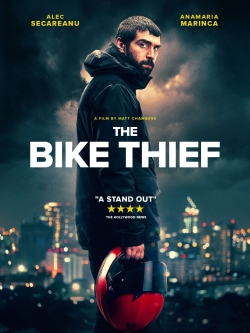 The Bike Thief The Bike Thief