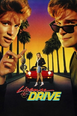 License to Drive License to Drive
