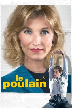 Le Poulain Le Poulain