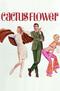 Cactus Flower Cactus Flower