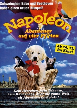 Napoleon Napoleon