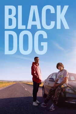 Black Dog Black Dog