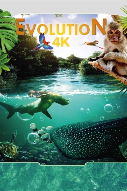 Evolution 4K Evolution 4K