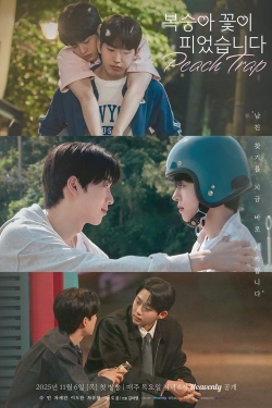 Peach Trap Peach Trap