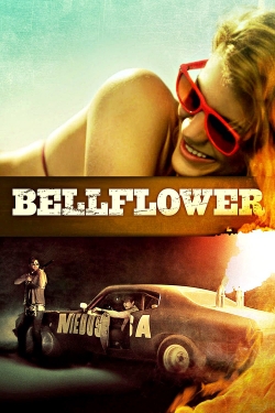 Bellflower Bellflower